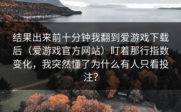 结果出来前十分钟我翻到爱游戏下载后（爱游戏官方网站）盯着那行指数变化，我突然懂了为什么有人只看投注？