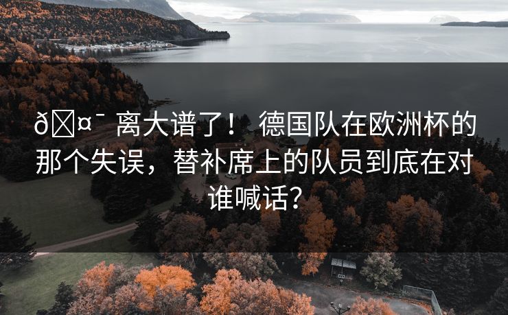 🤯 离大谱了！ 德国队在欧洲杯的那个失误，替补席上的队员到底在对谁喊话？
